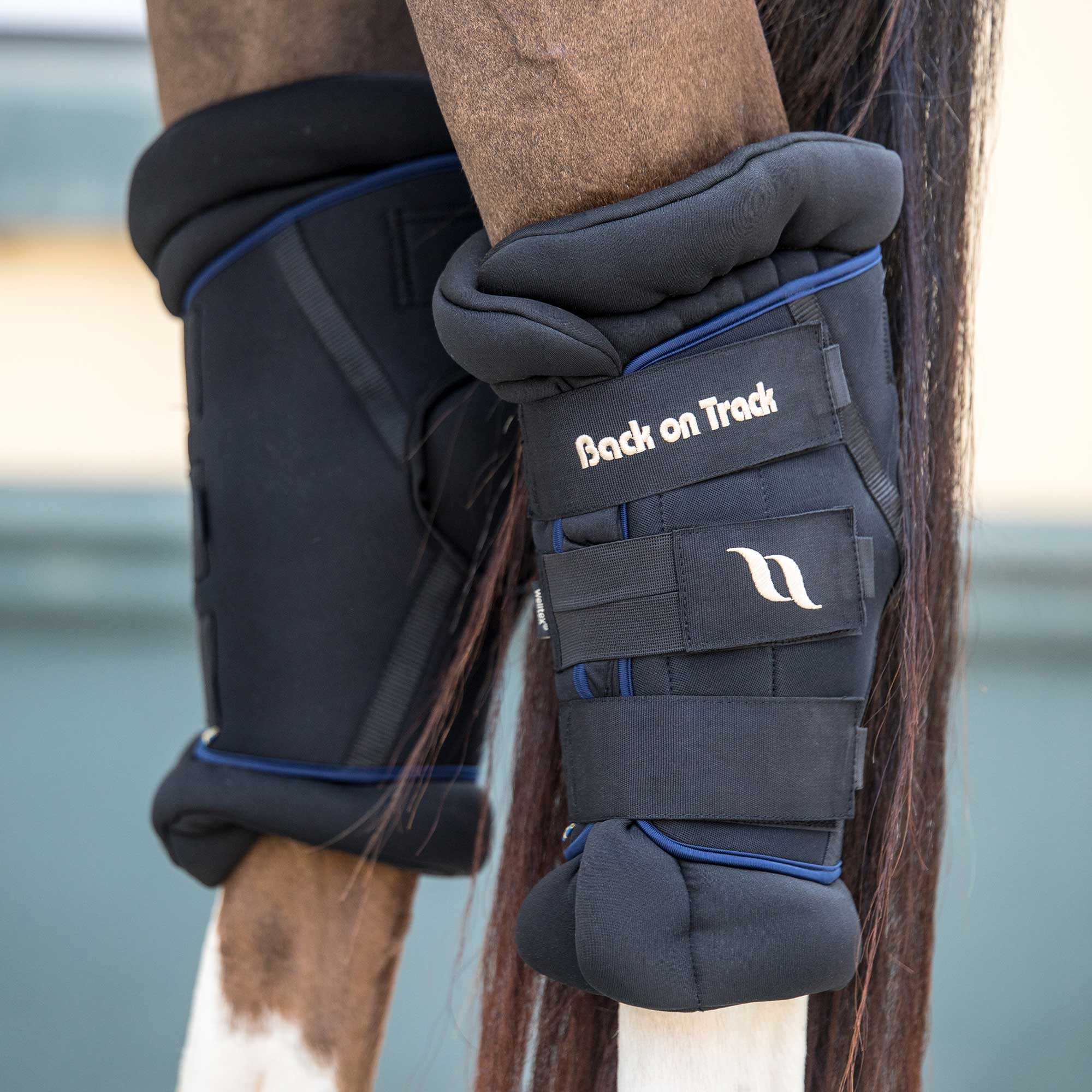 Back on Track Royal Hasskydd Deluxe – Blå