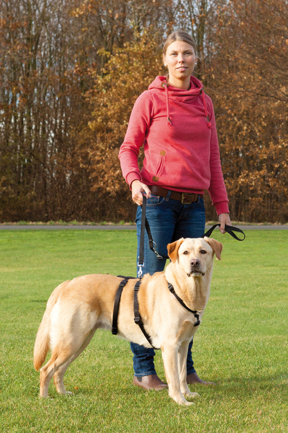 Trixie Stay hundsele - Svart