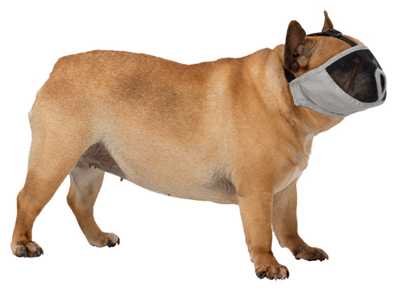 Trixie Munkorg för Kortnosiga Hundar 23cm - Grå