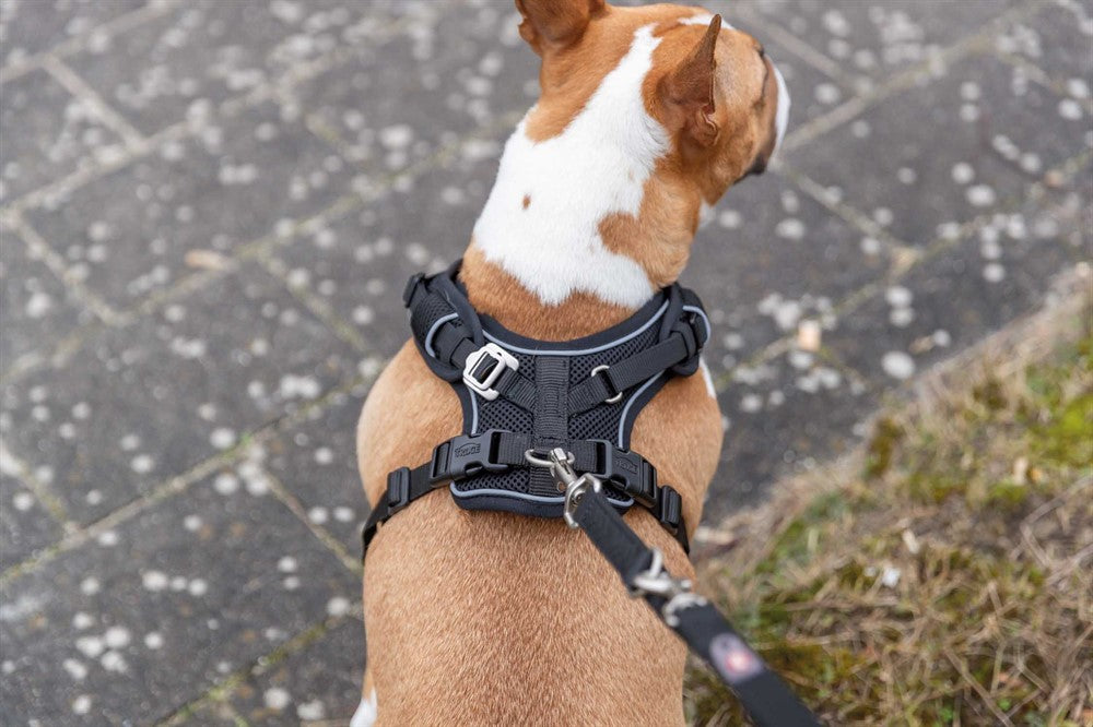 Trixie Premium FlexMesh sele bred - Svart