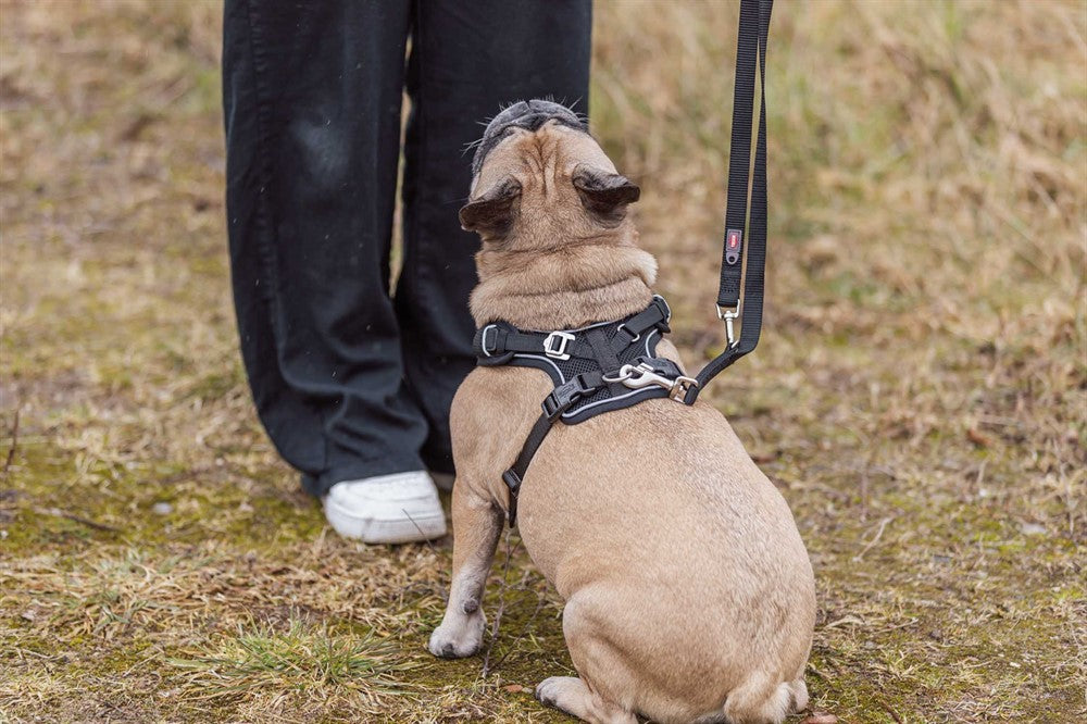 Trixie Premium FlexMesh sele bred - Svart