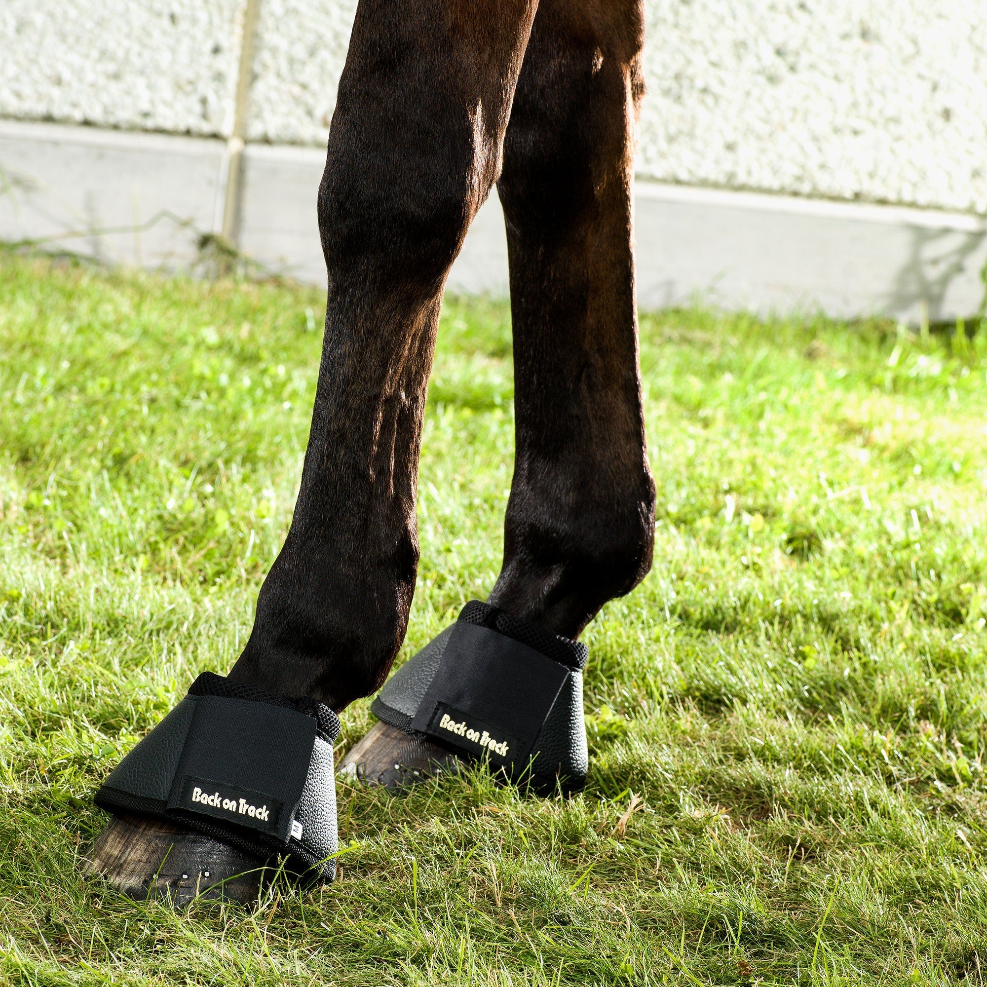 Back on Track Hästboots – Svart