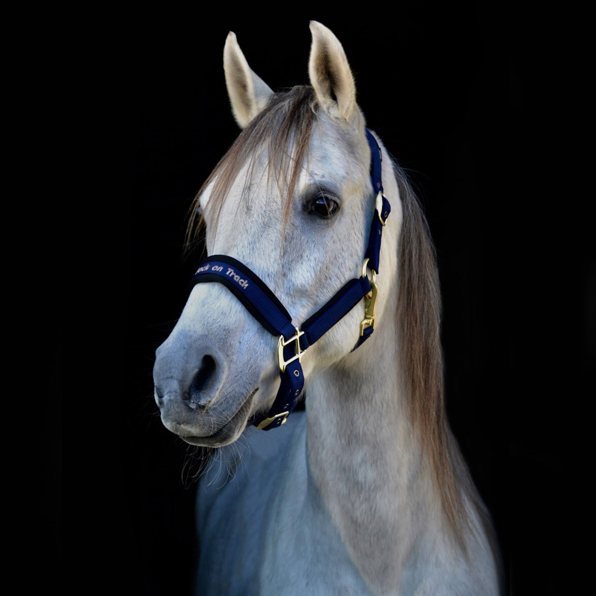 Back on Track Werano Grimma – Blå