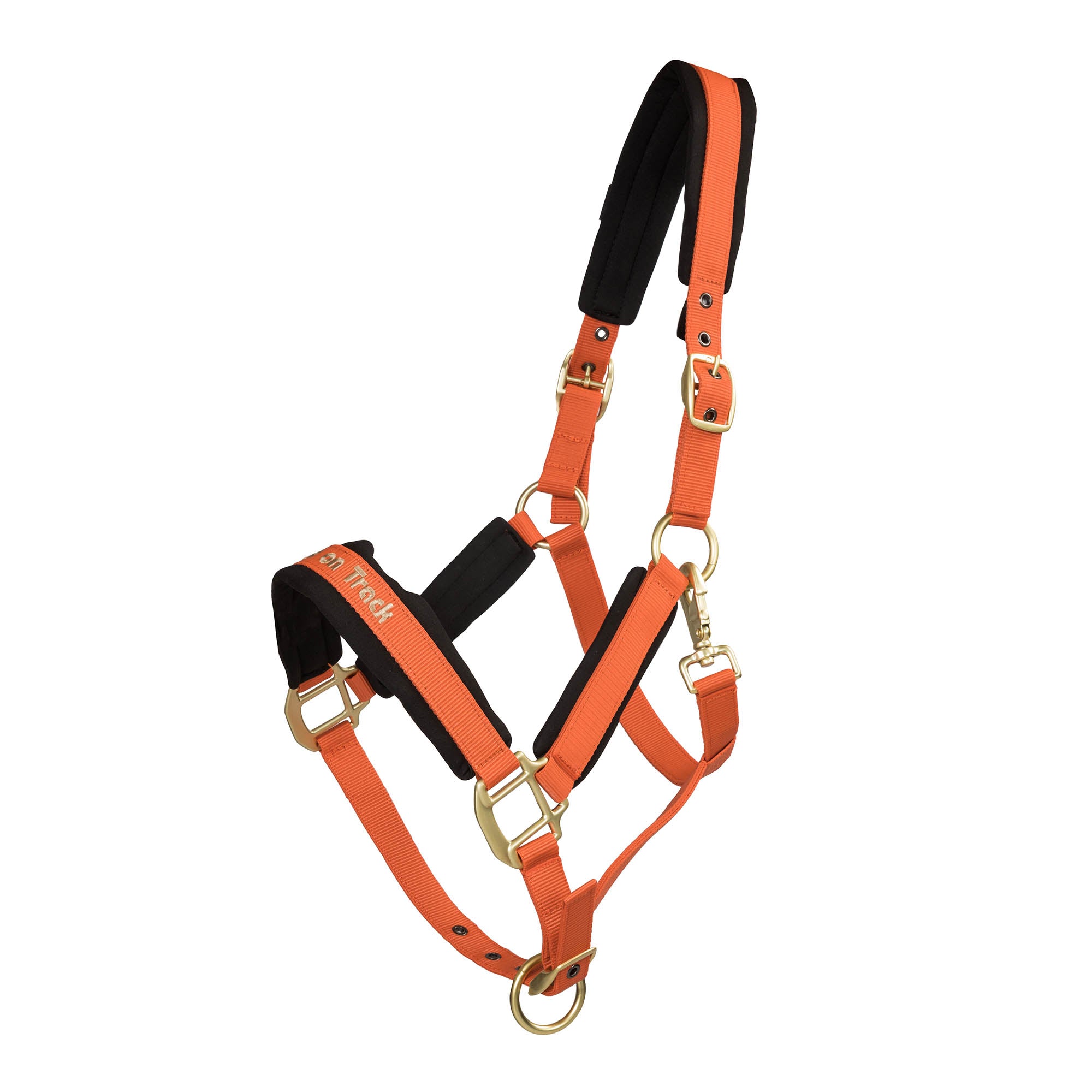 Back on Track Werano Grimma – Orange