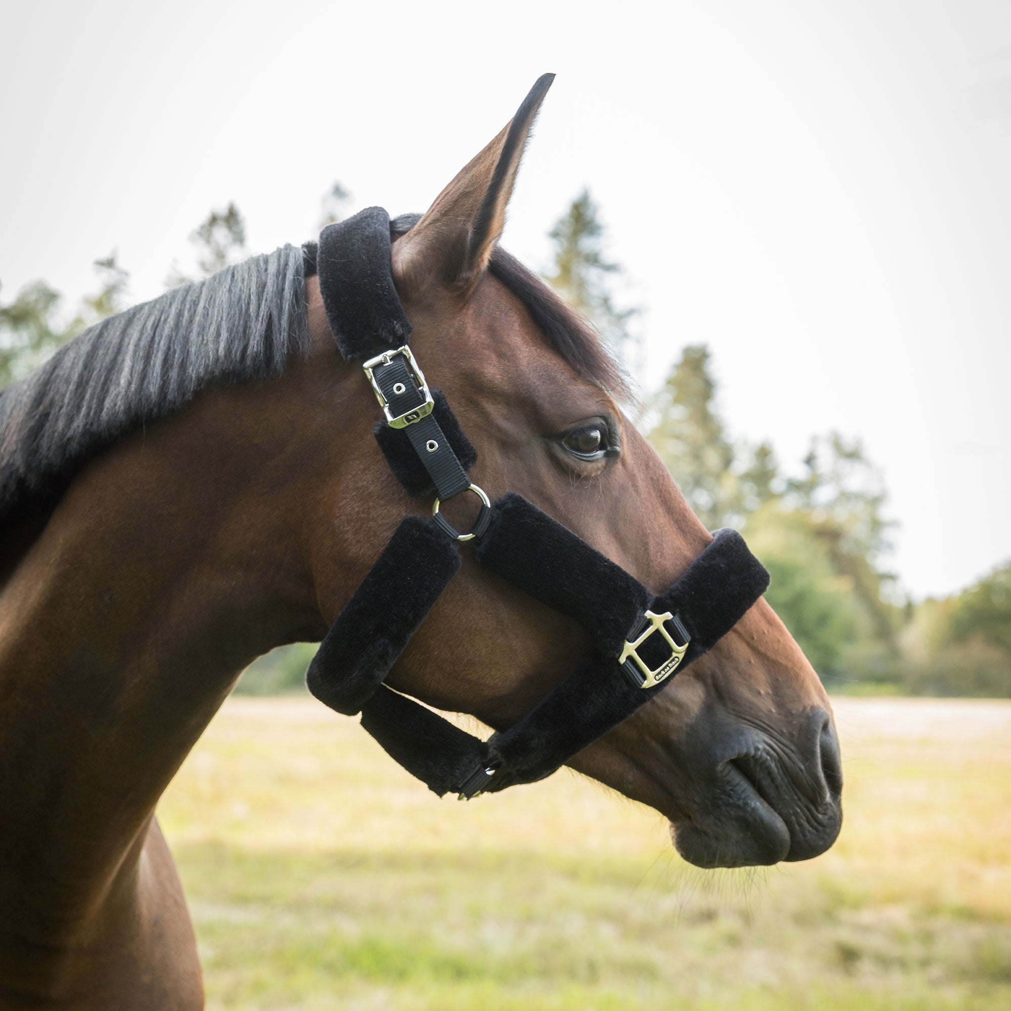 Back on Track Audrey Grimma Fleece – Svart