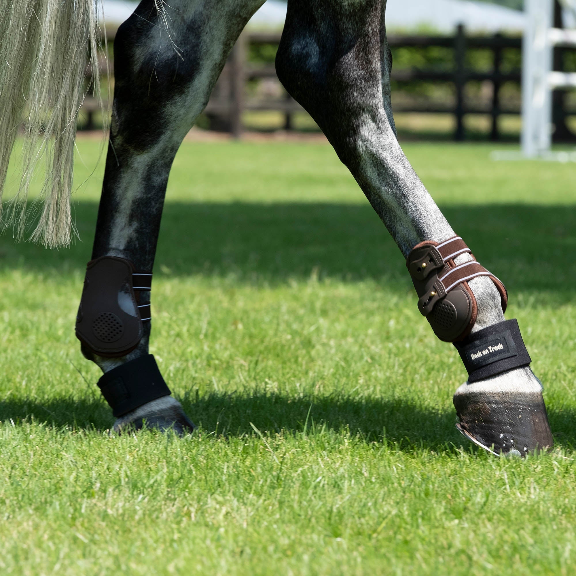 Back on Track Royal Bakskydd – Brun