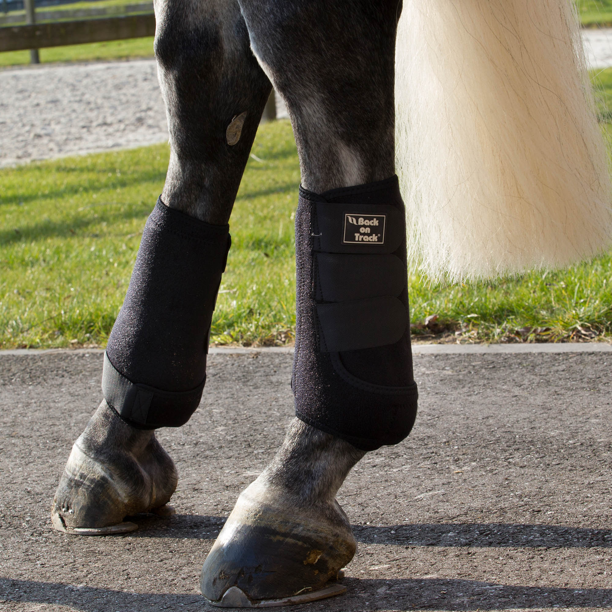 Back on Track Royal Exercise Boots – Svart