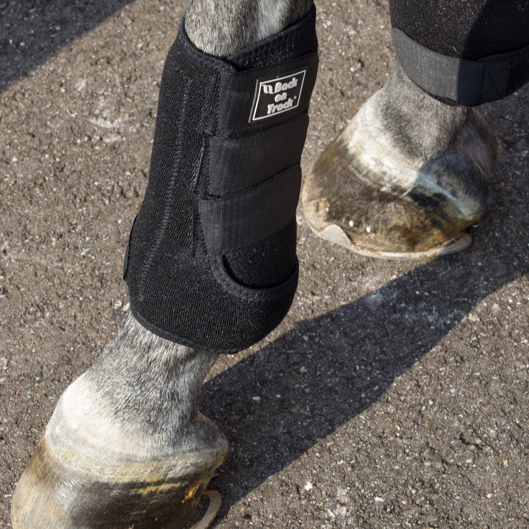 Back on Track Royal Exercise Boots – Svart