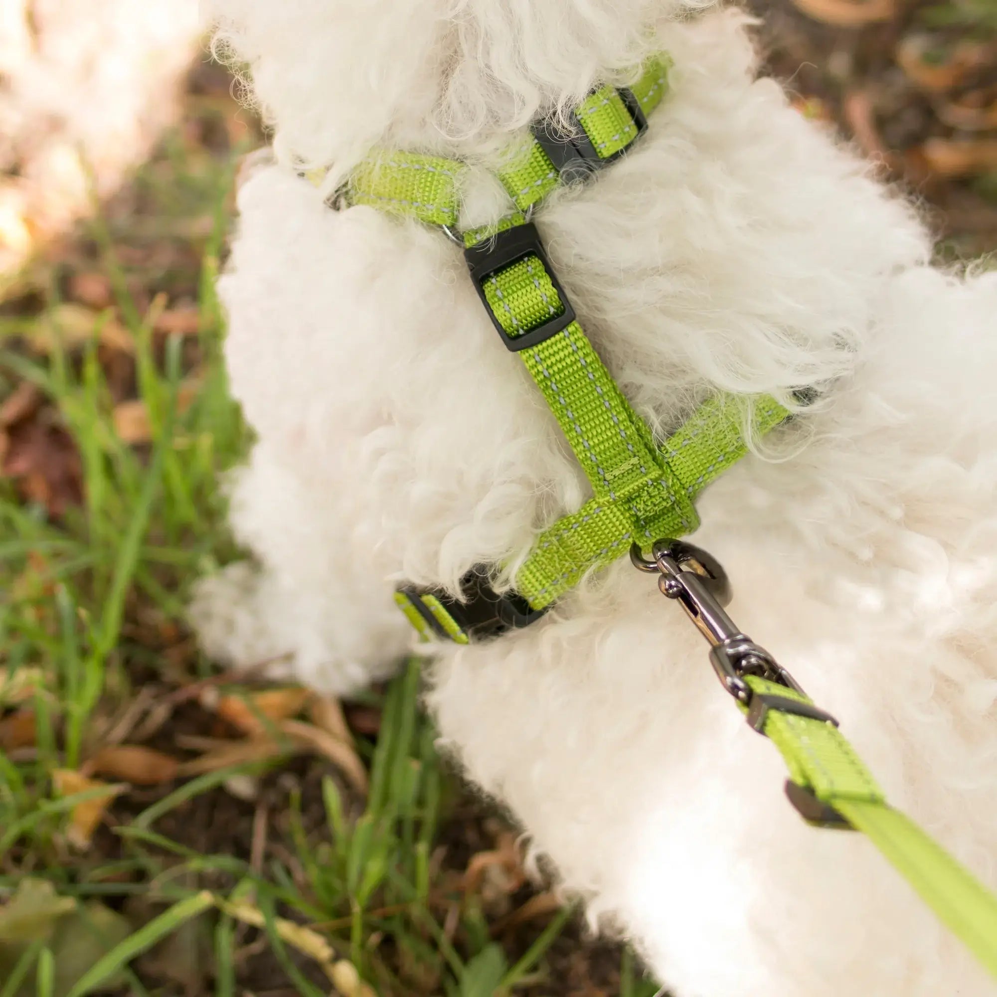 Dogman Iris H-sele - Grön