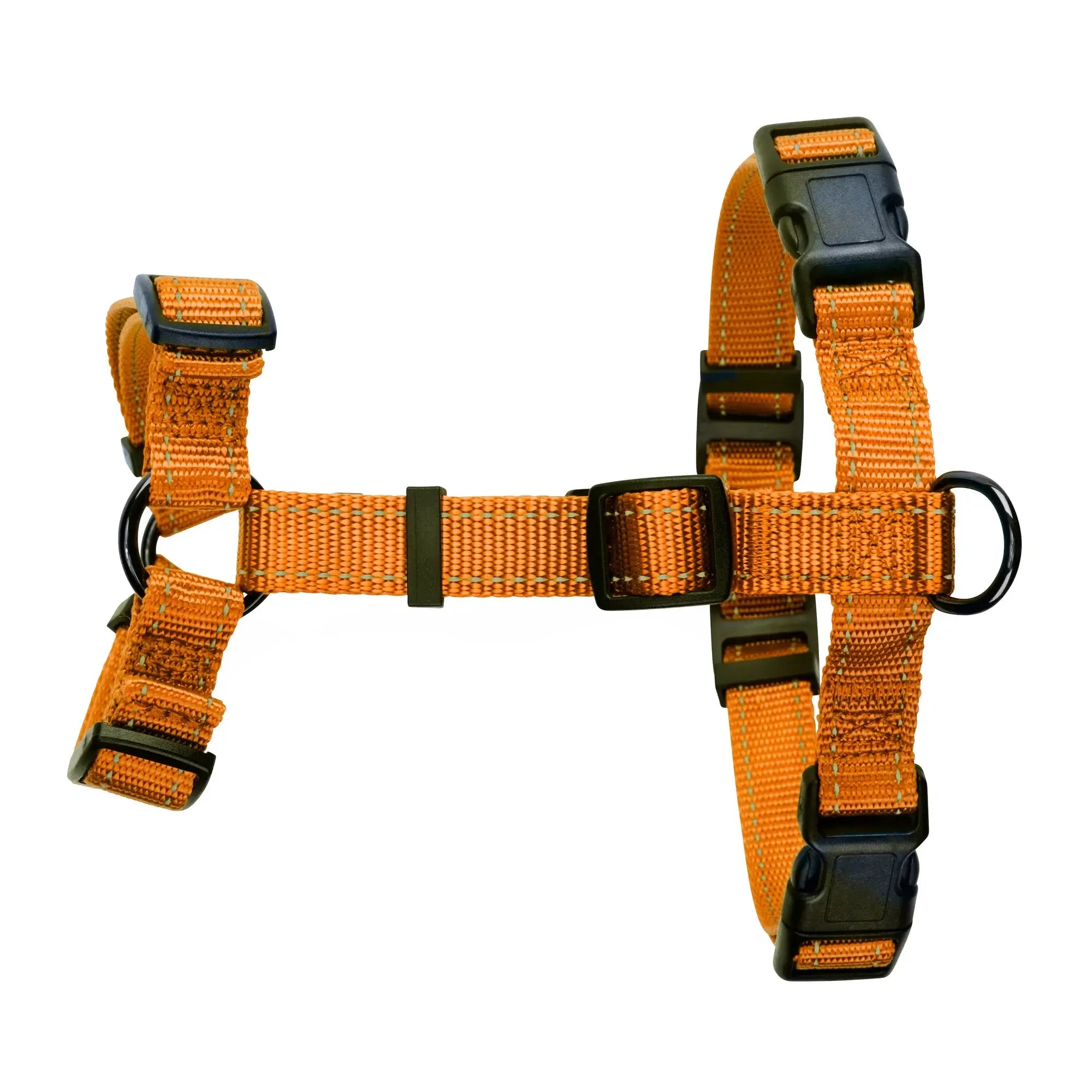 Dogman Iris H-sele - Orange