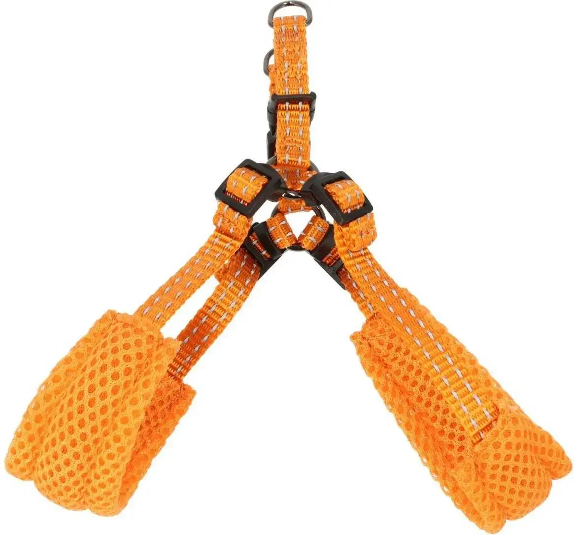Dogman Step-in Hundsele Iris - Orange