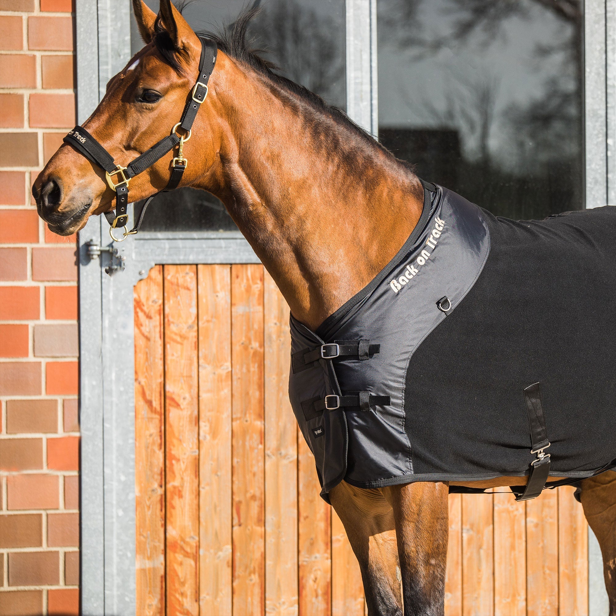 Back on Track Hästtäcke Fleece med D-ringar – Svart
