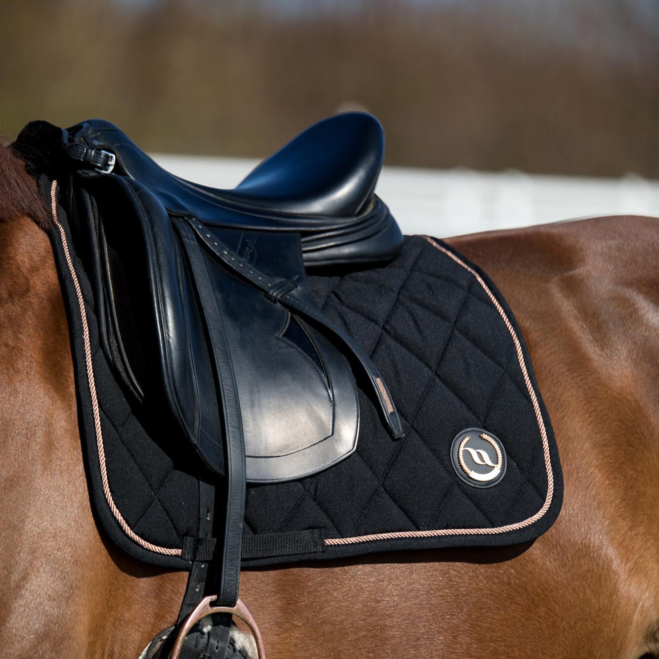 Back on Track Haze Collection Schabrak Dressyr – Svart