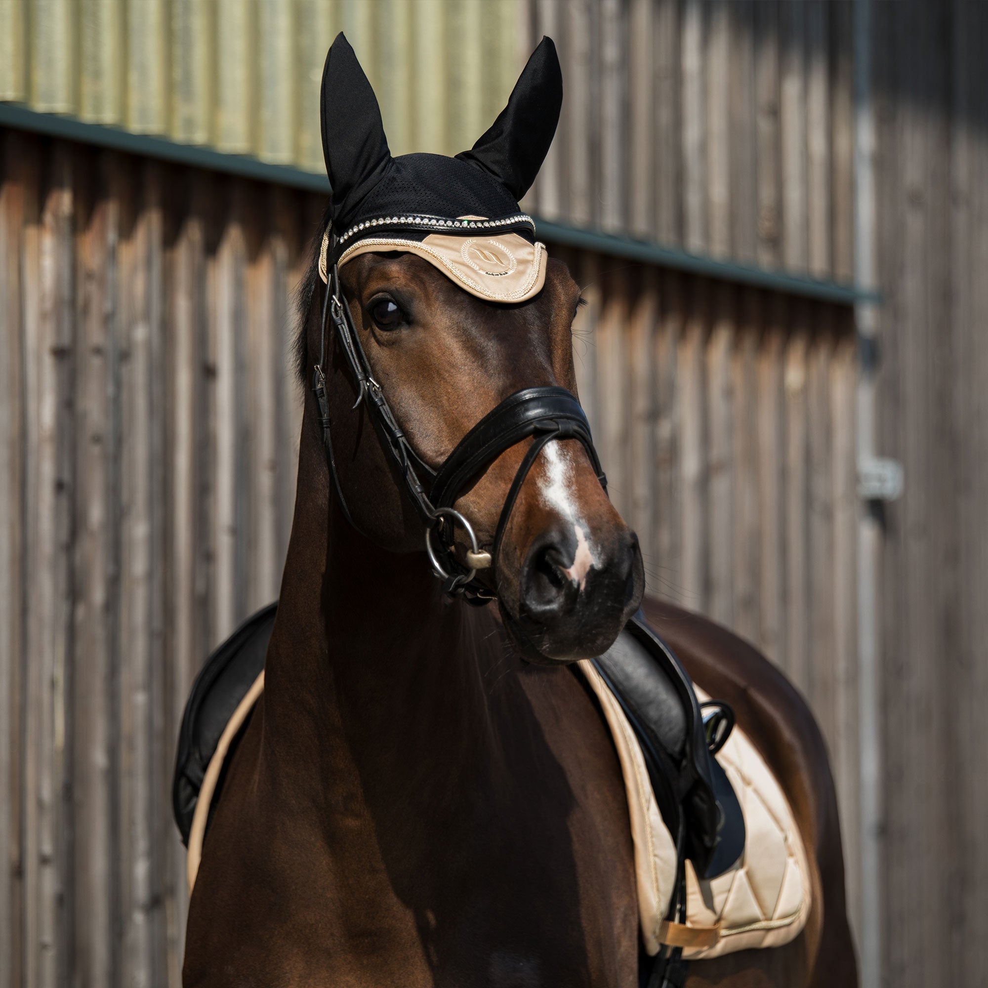 Back on Track Nights Collection Hästhuva – Nougat