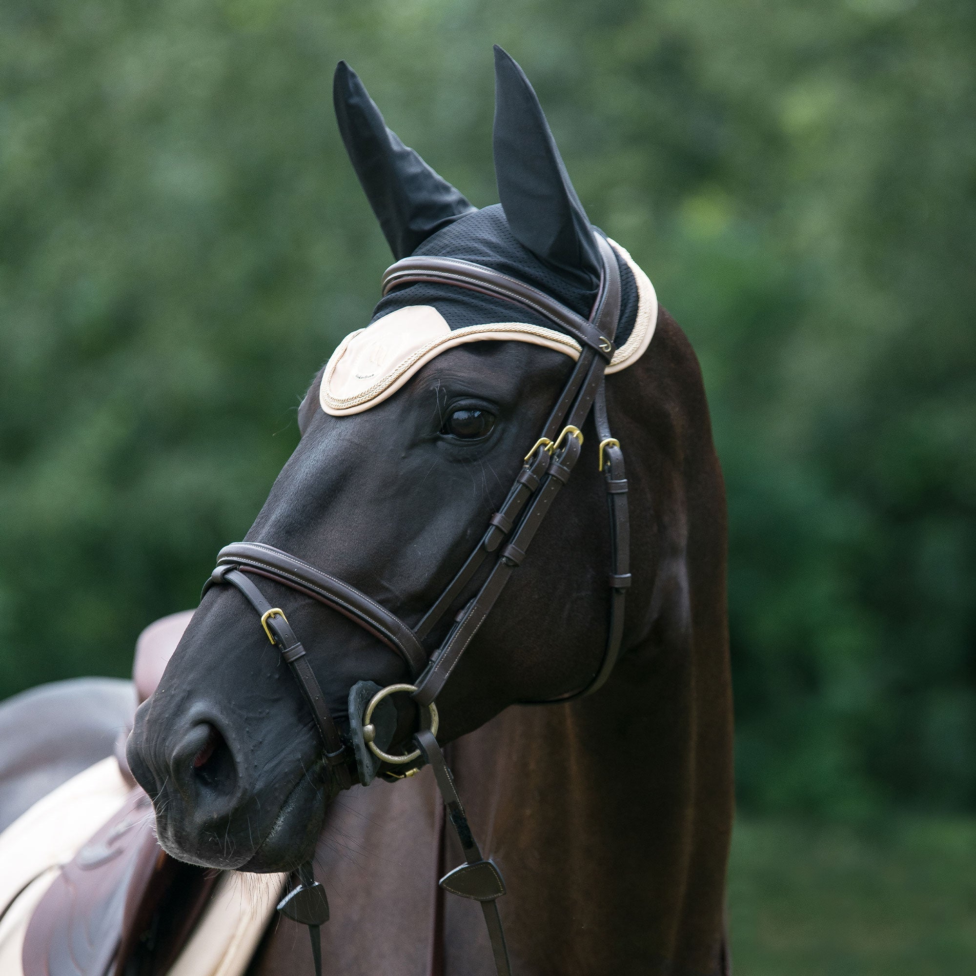 Back on Track Nights Collection Hästhuva – Champagne