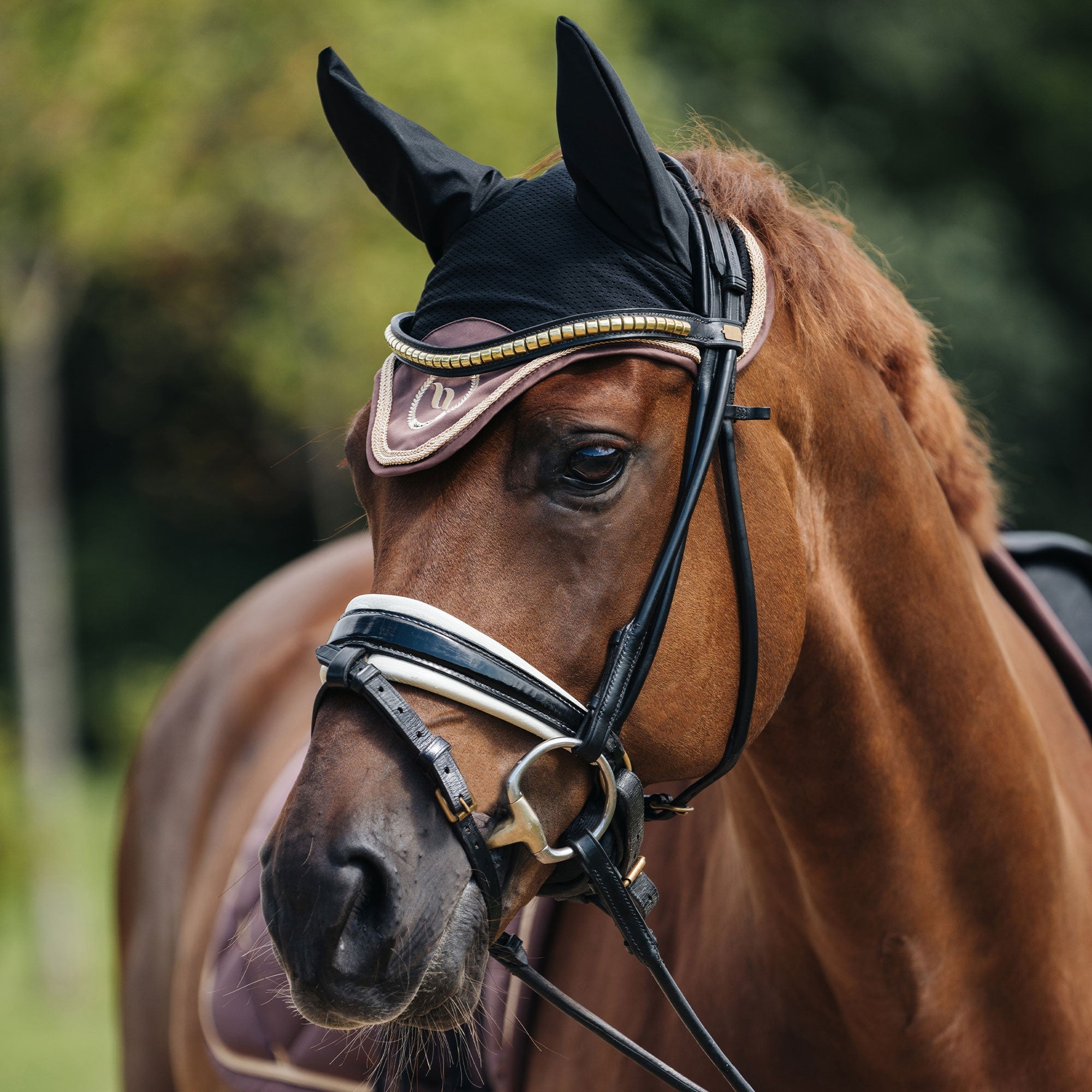 Back on Track Nights Collection Hästhuva – Champagne