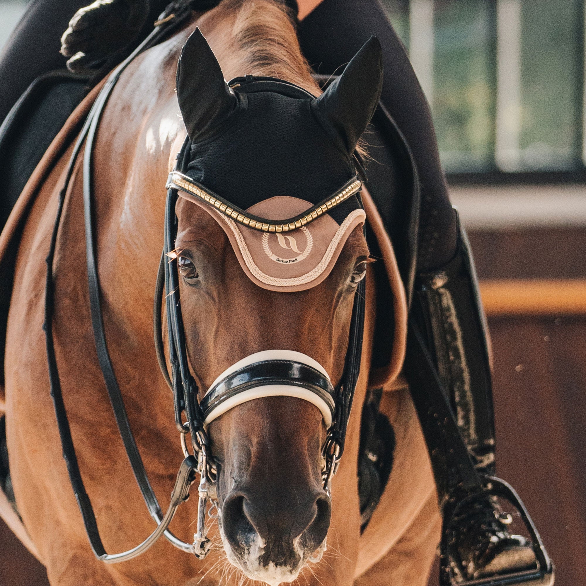 Back on Track Nights Collection Hästhuva – Nougat