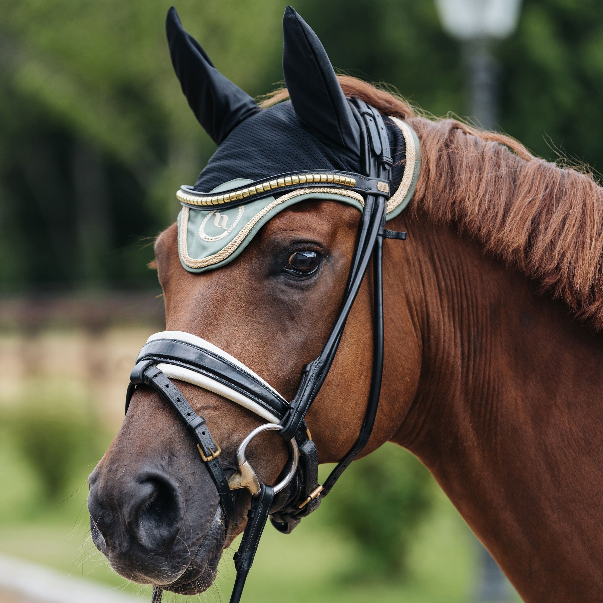 Back on Track Nights Collection Hästhuva – Champagne