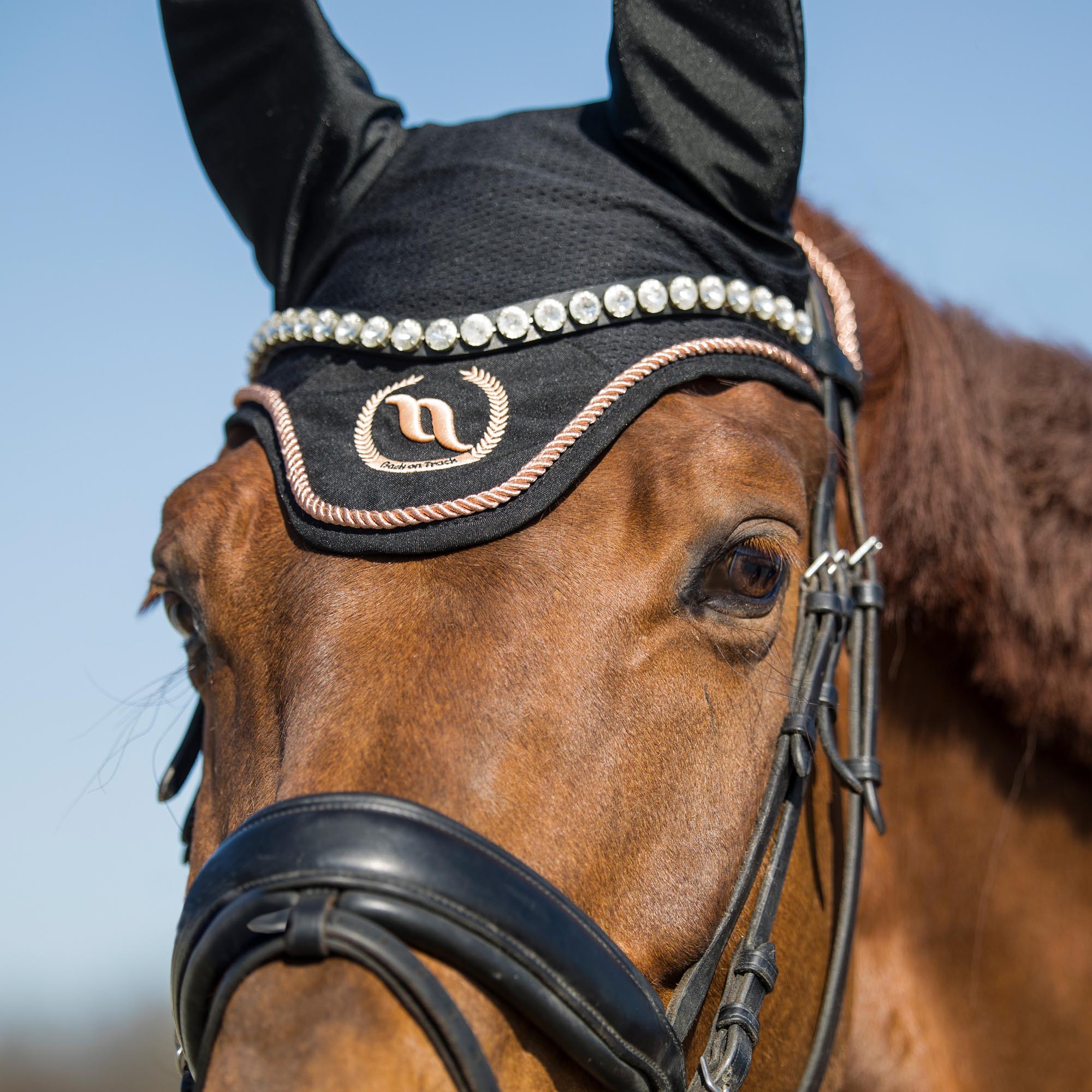 Back on Track Haze Collection Hästhuva – Svart