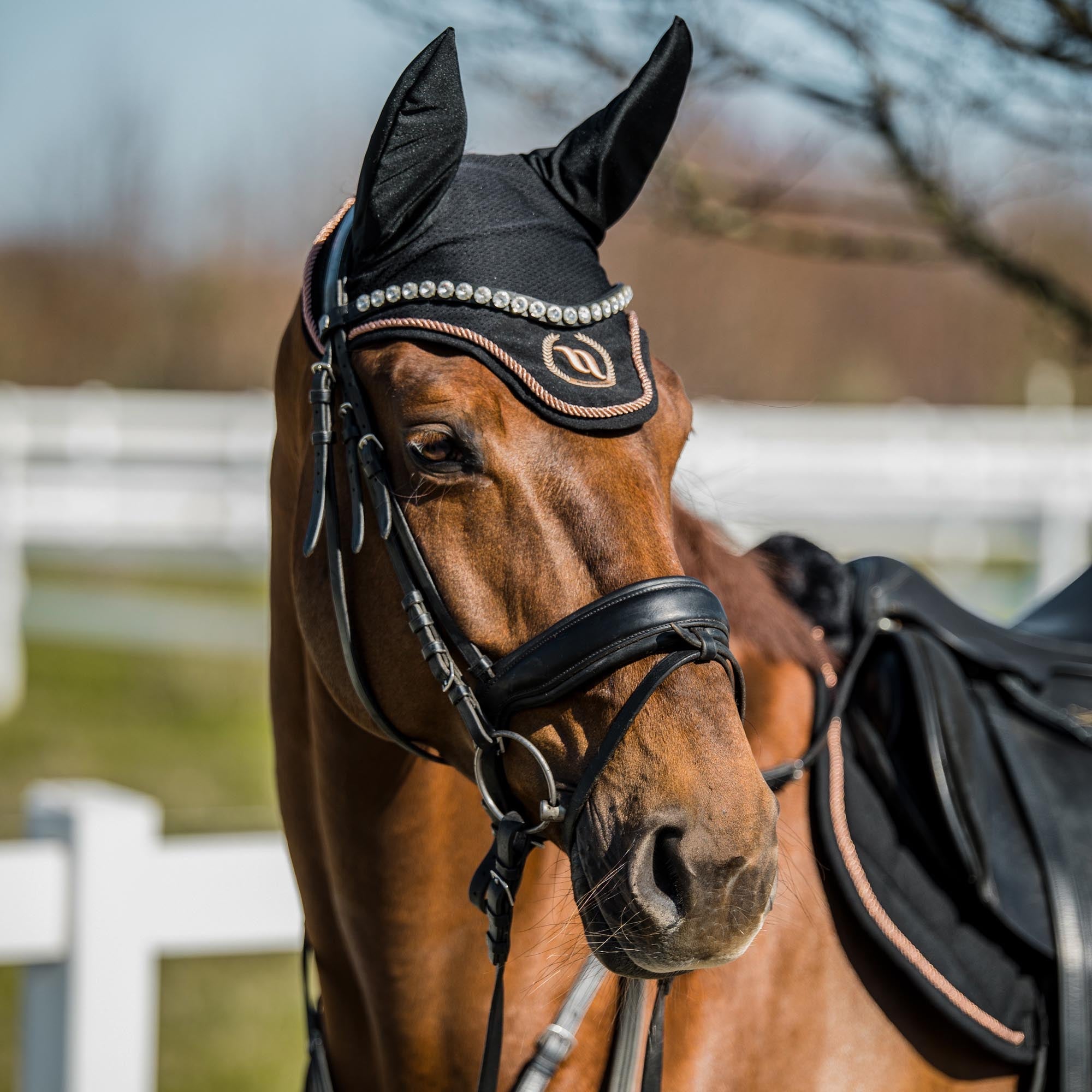 Back on Track Haze Collection Hästhuva – Svart