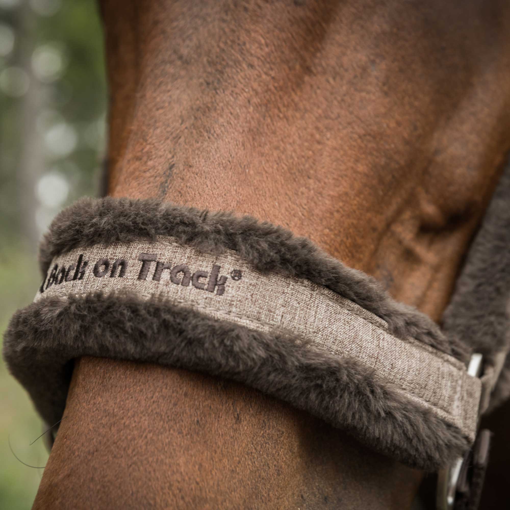 Back on Track Haze Collection Grimma – Brun