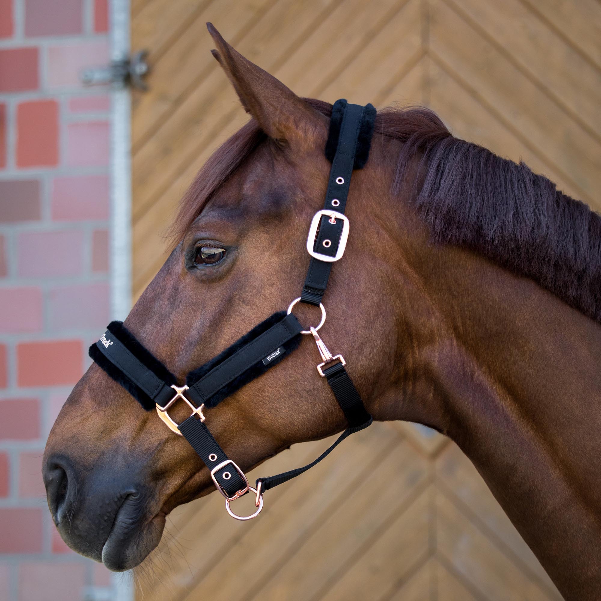 Back on Track Haze Collection Grimma – Svart