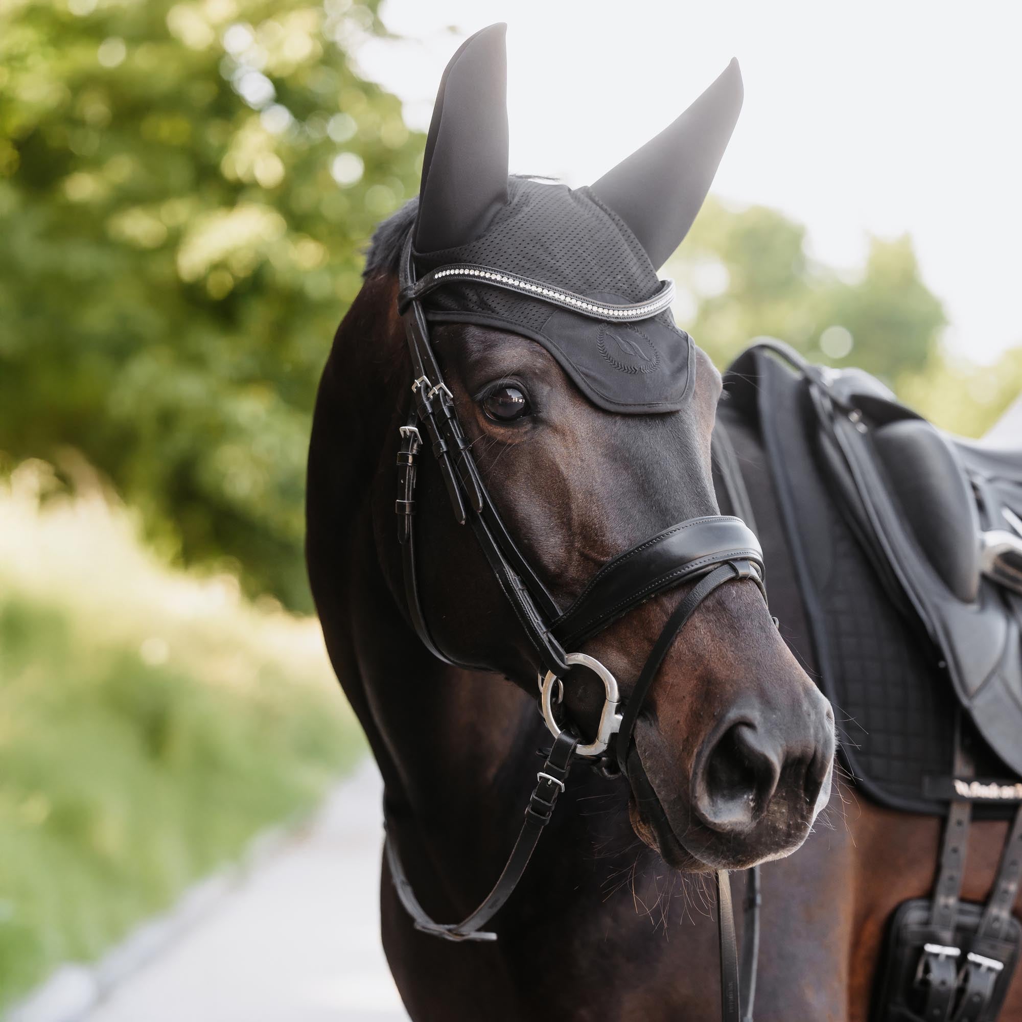 Back on Track Ljuddämpande Huva modell Aureum – Svart
