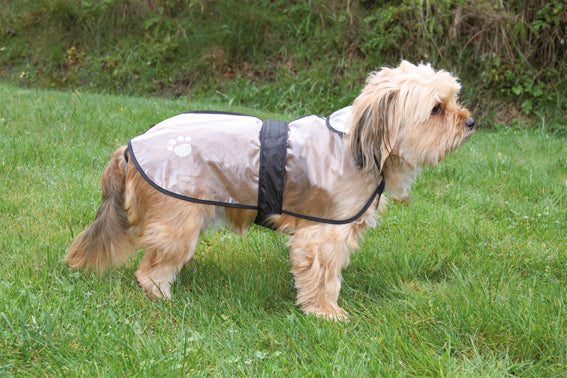 Trixie Tarbes regntäcke - Transparent