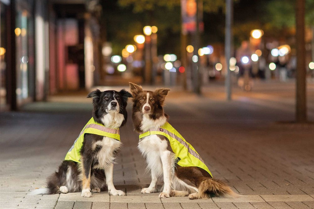 Trixie Säkerhetsväst - Reflex