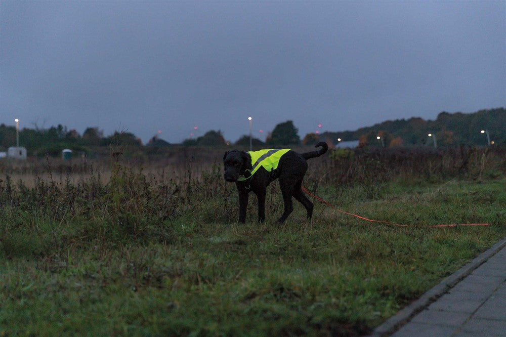 Trixie Säkerhetsväst - Reflex