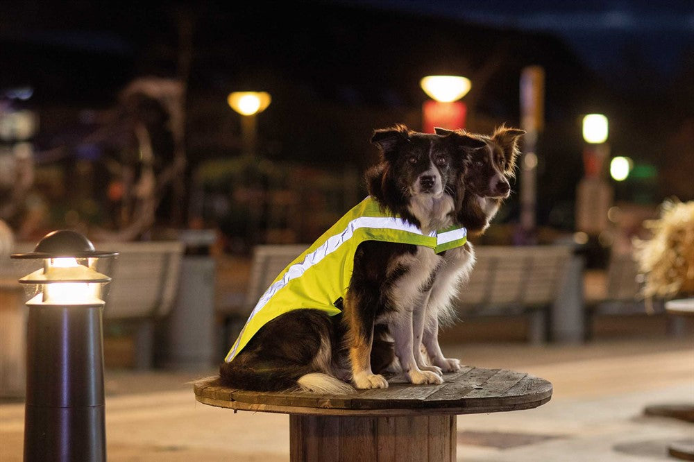 Trixie Säkerhetsväst - Reflex