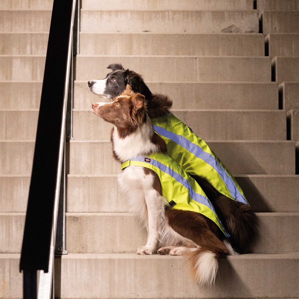 Trixie Säkerhetsväst - Reflex