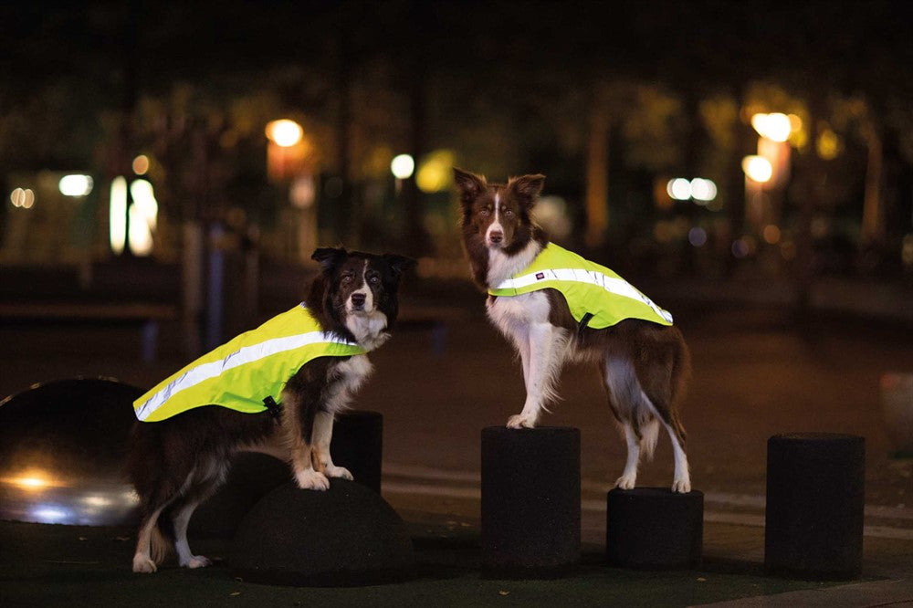 Trixie Säkerhetsväst - Reflex