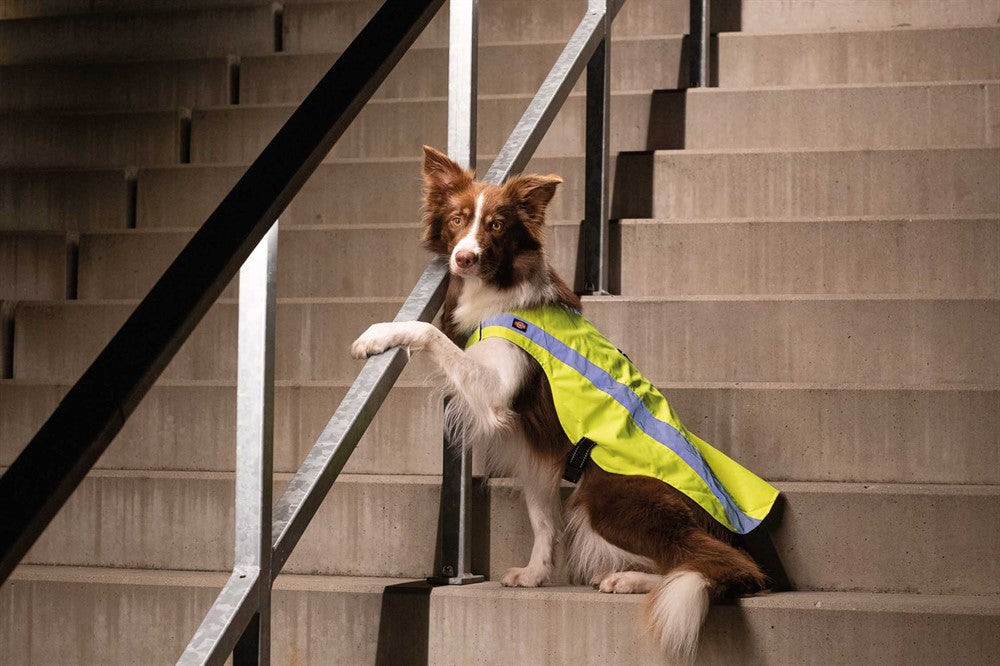 Trixie Säkerhetsväst - Reflex