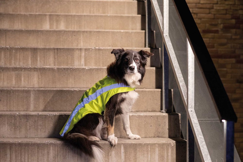 Trixie Säkerhetsväst - Reflex