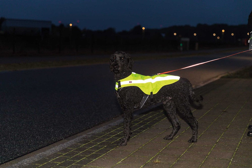Trixie Säkerhetsväst - Reflex