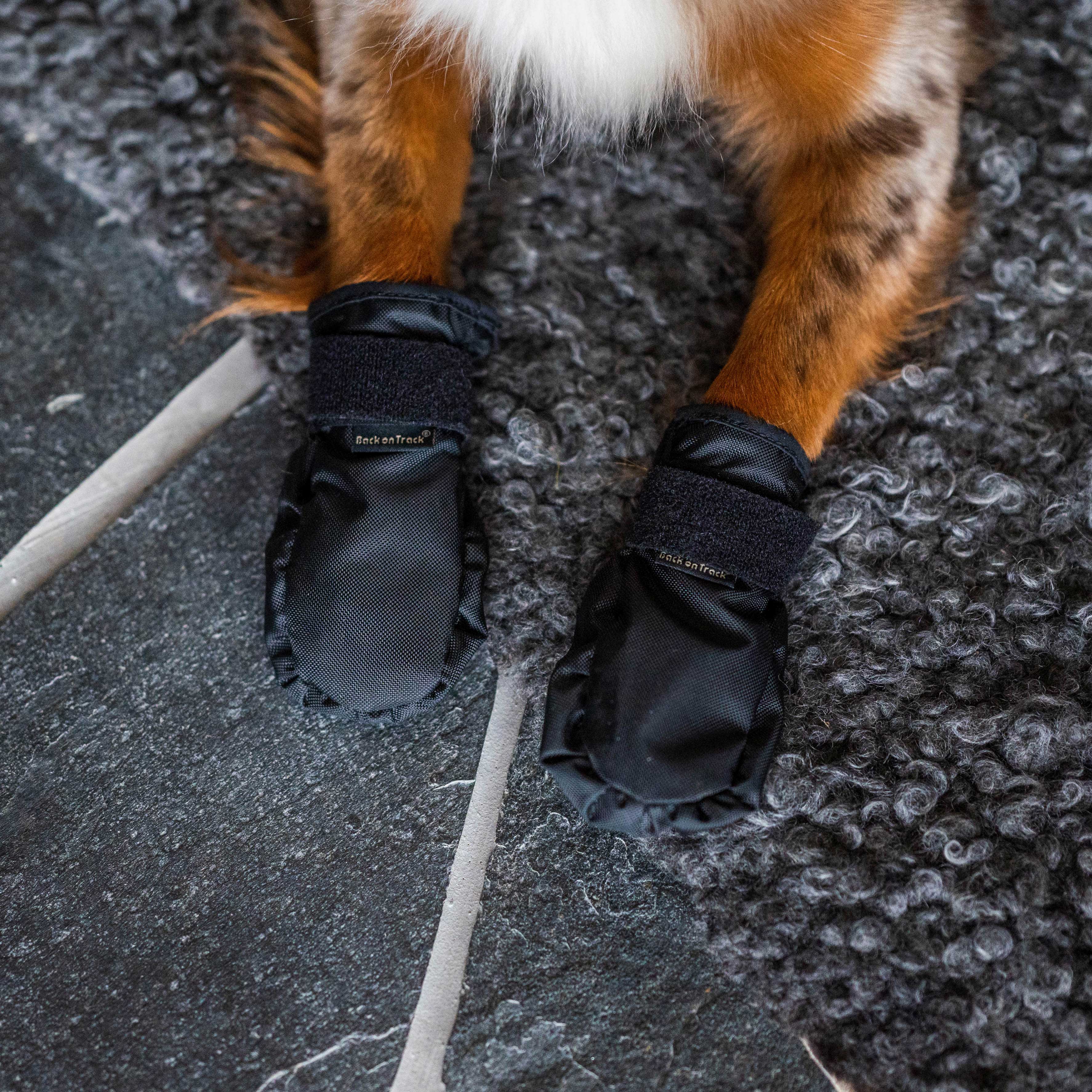 Back on Track Koda Hundsocka – Svart