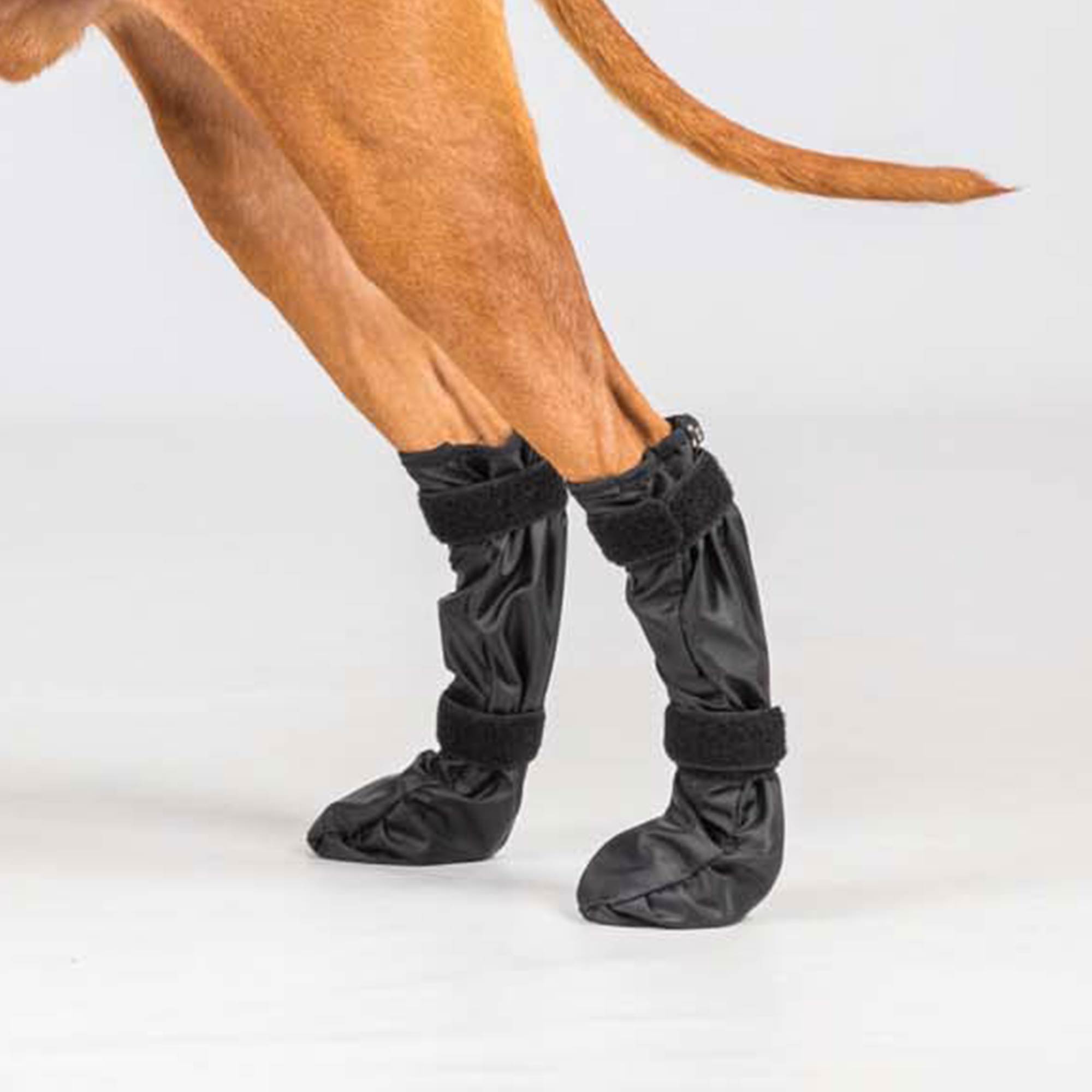 Back on Track Lola Hundsocka Hög – Svart