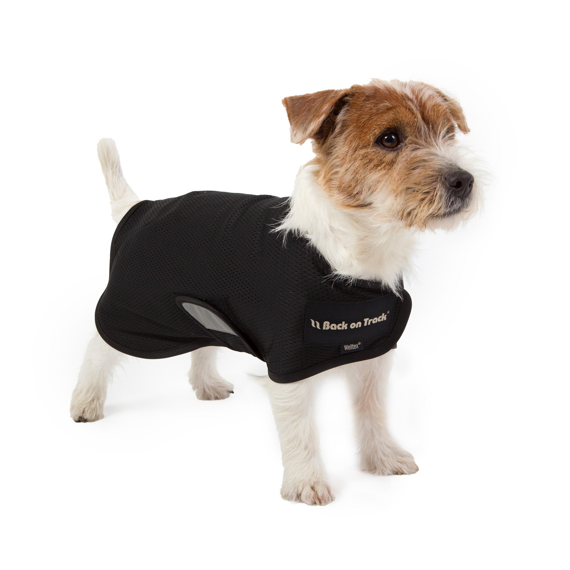 Back on Track Hugo Hundnättäcke – Svart