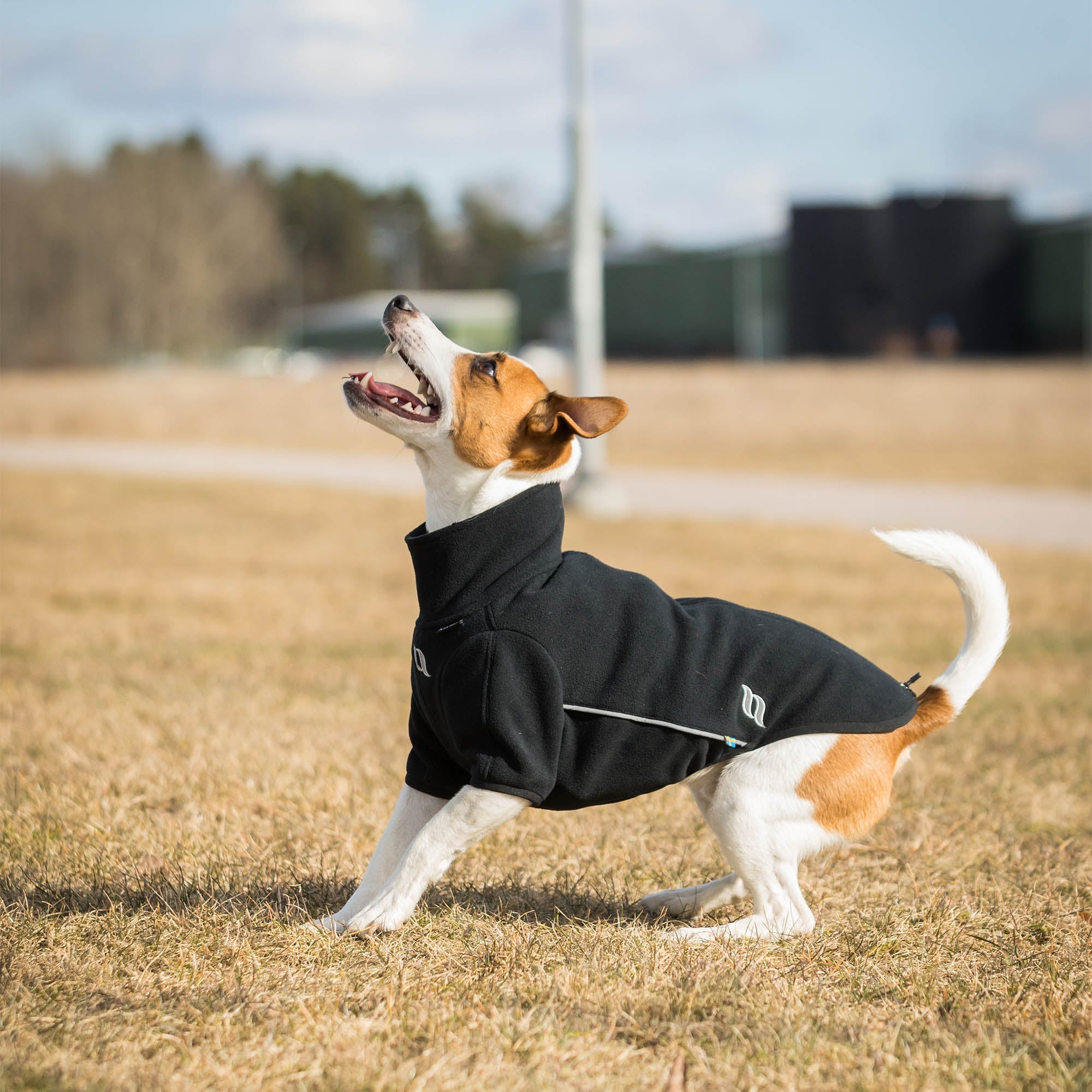 Back on Track Cassie Hundtröja – Svart