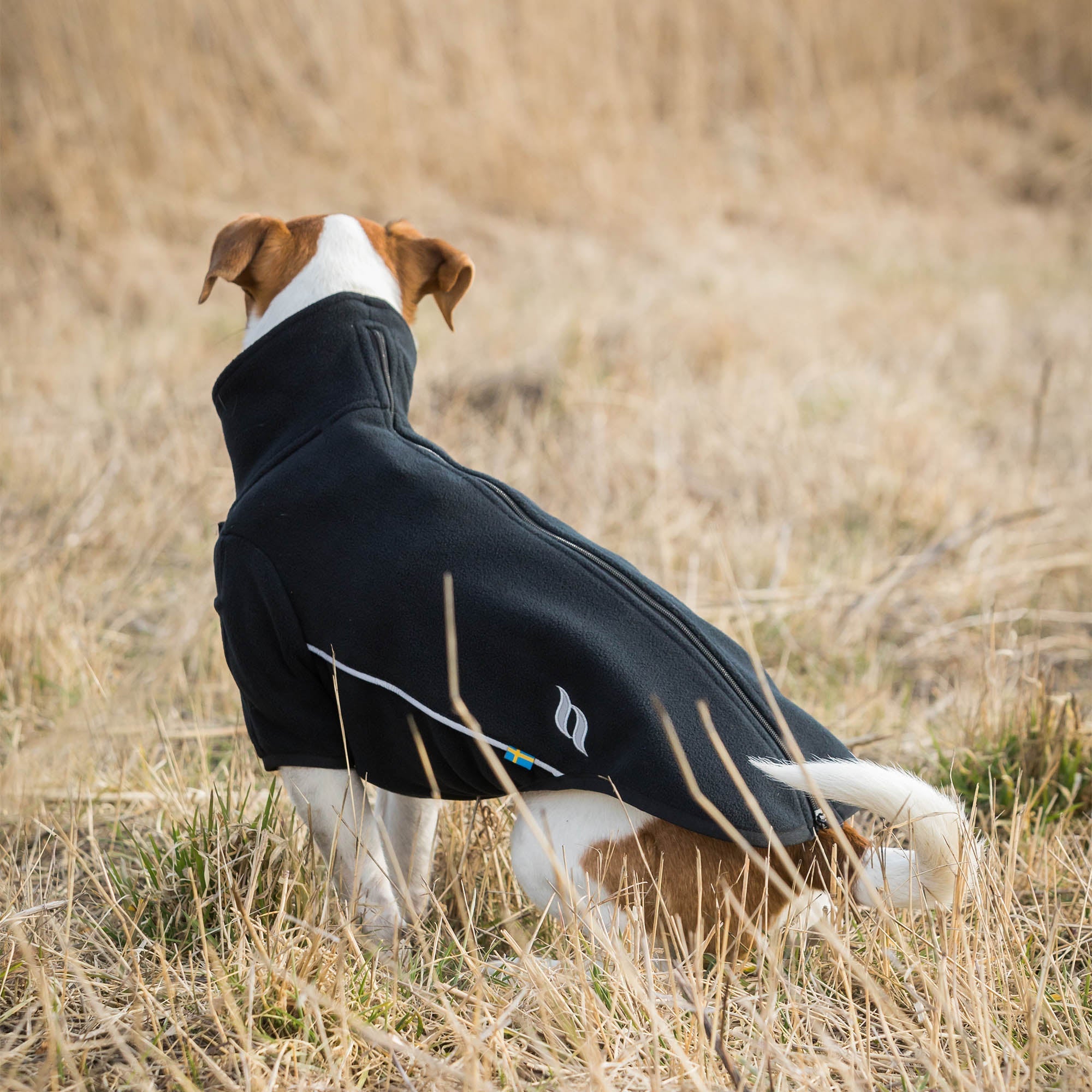 Back on Track Cassie Hundtröja – Svart