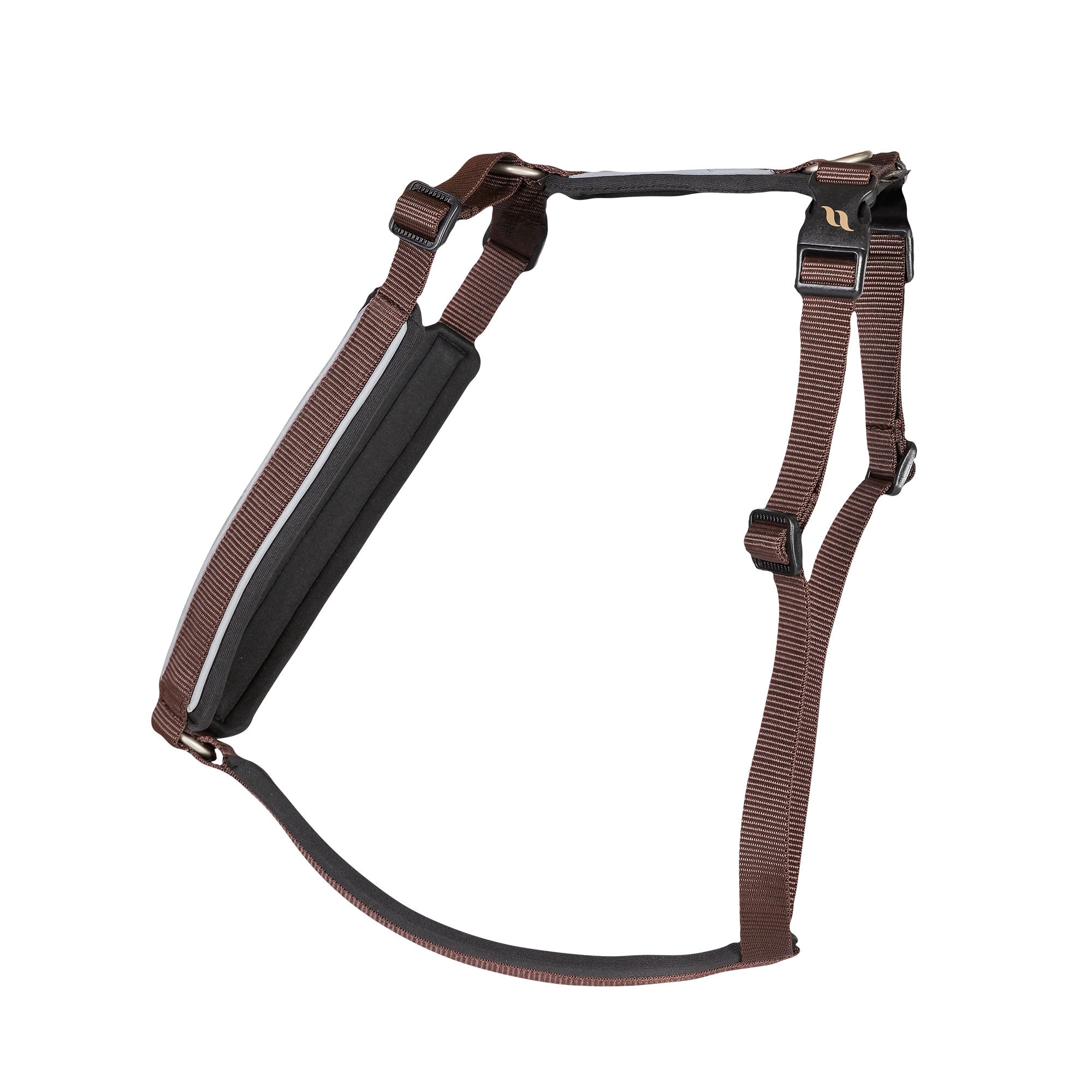 Back on Track Sally Hundsele – Brun