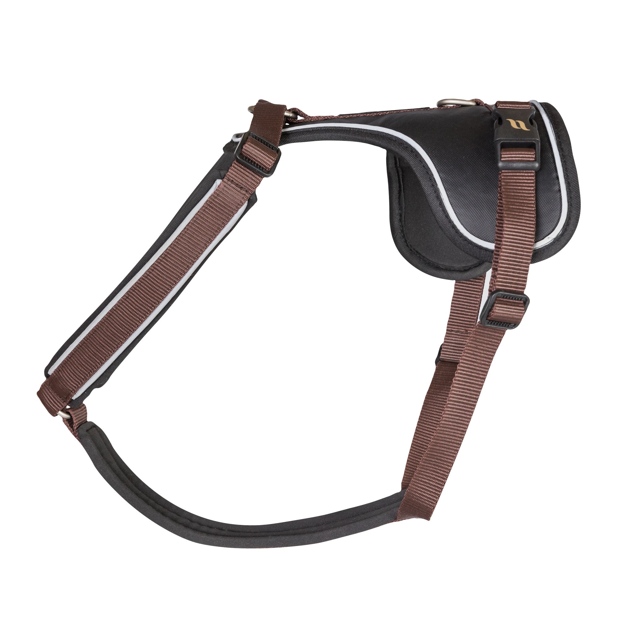 Back on Track Max Hundsele – Brun