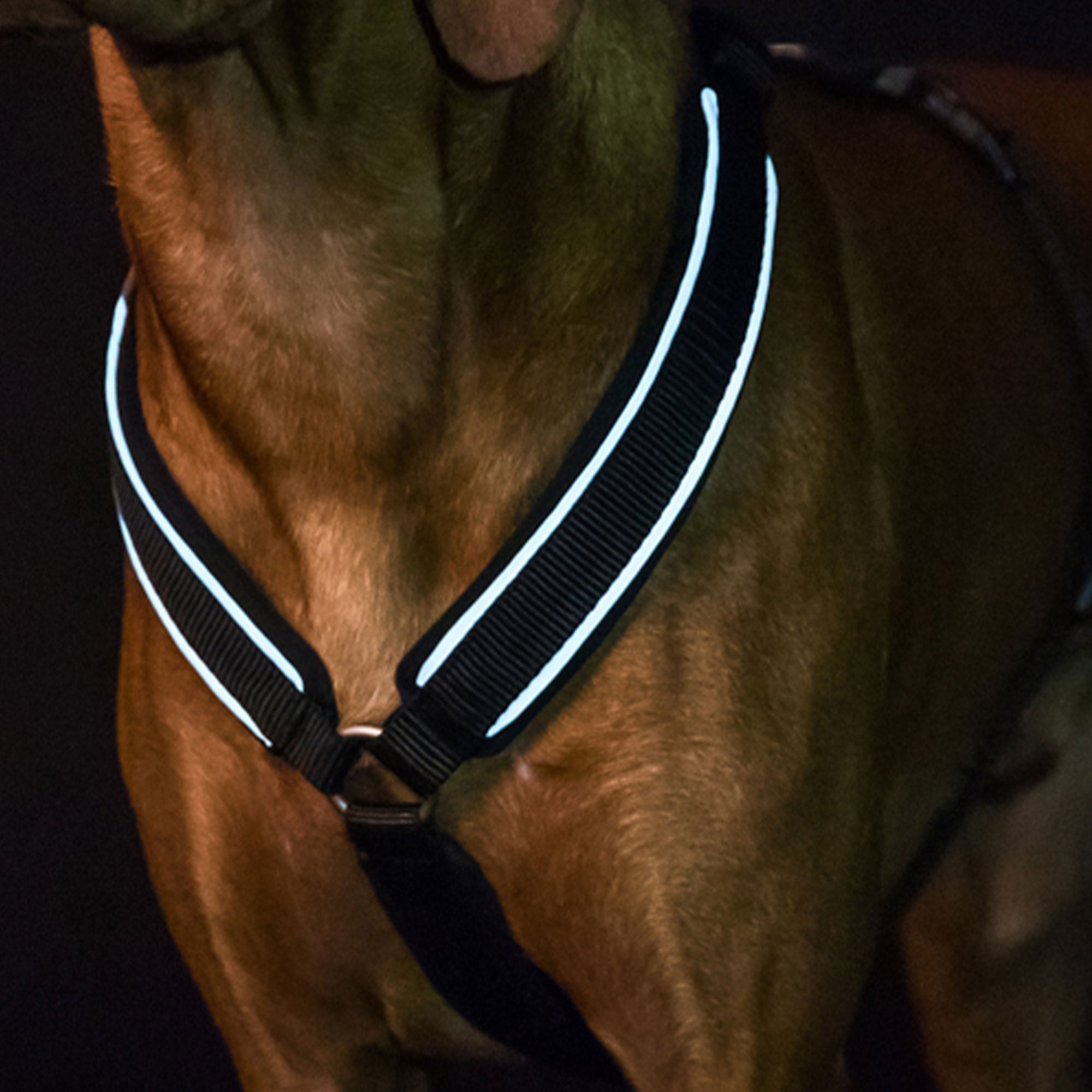 Back on Track Max Hundsele – Svart