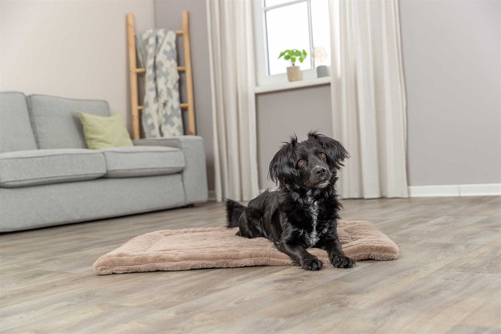 Trixie Lonni liggmatta manchester plysch - Ljusbrun