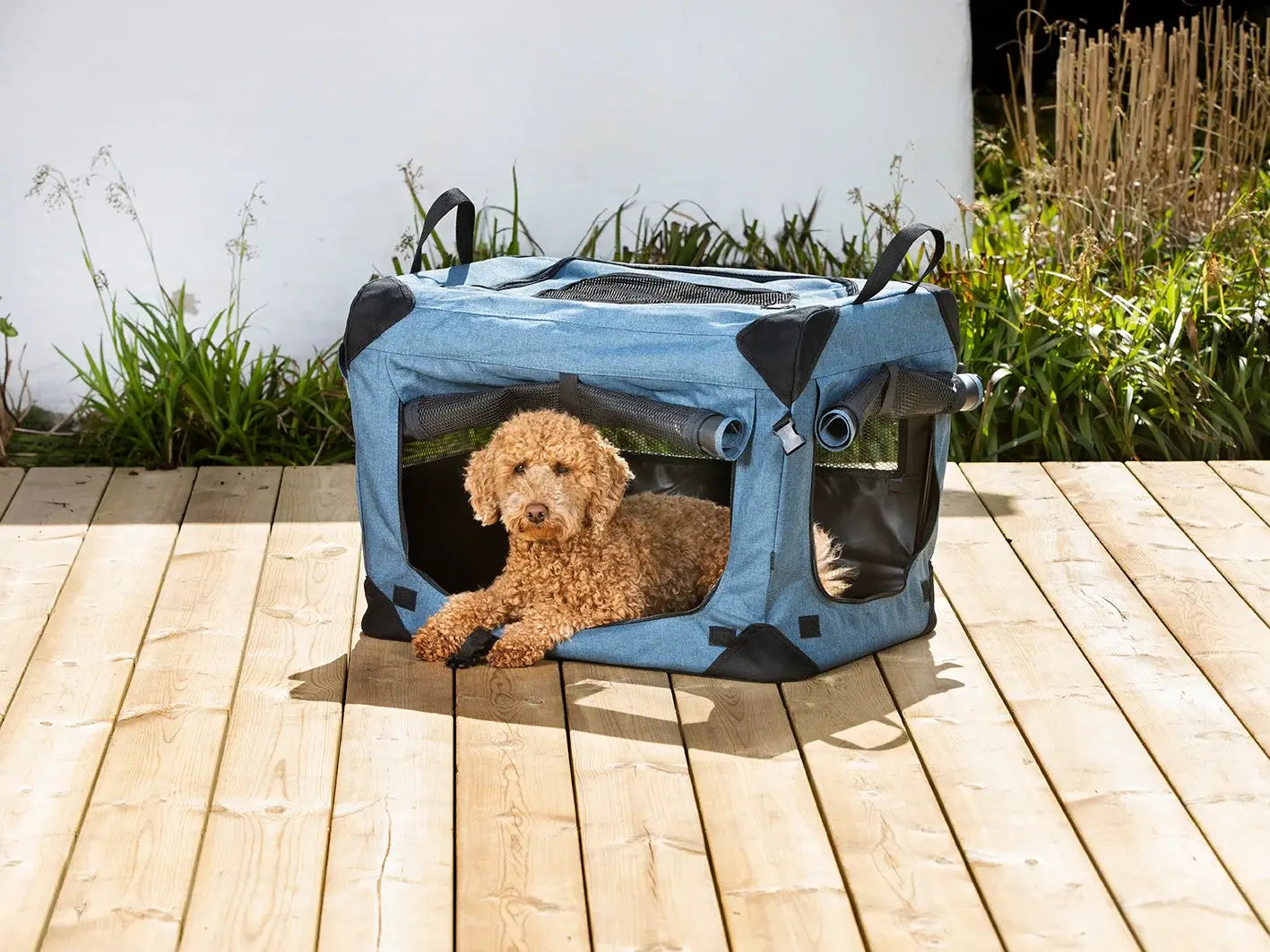 Dogman Milou Canvasbur - Blå