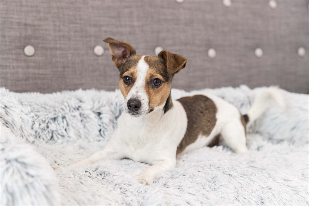 Trixie Harvey soffbädd 70×90 cm - Vit/svart