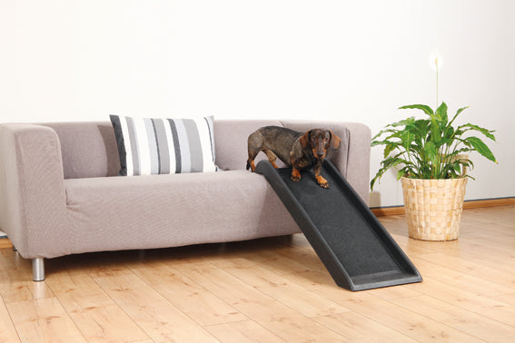 Trixie Ramp Petwalk 38x100 cm plast - Svart
