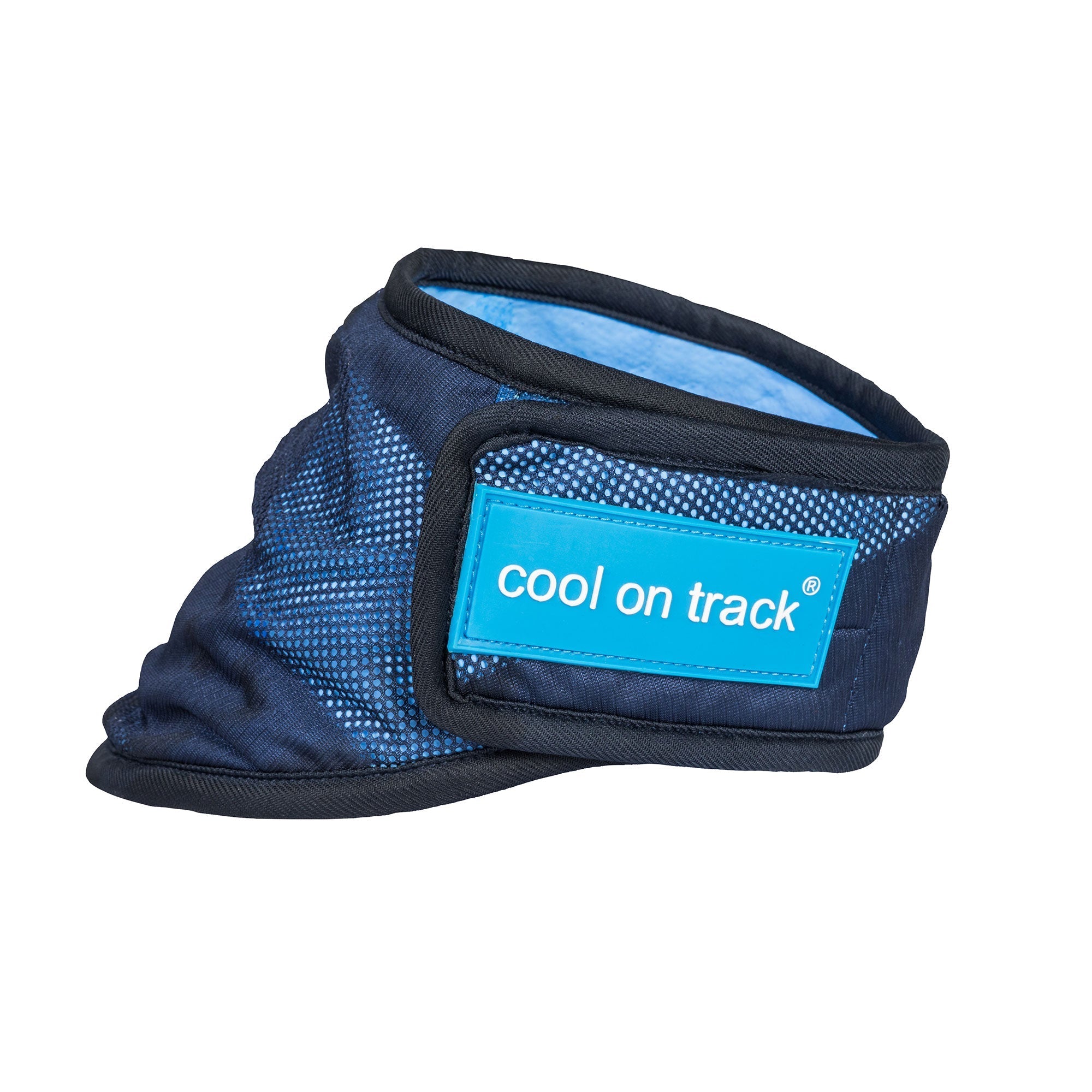 Back on Track Cool on Track Kylande Hundscarf – Blå