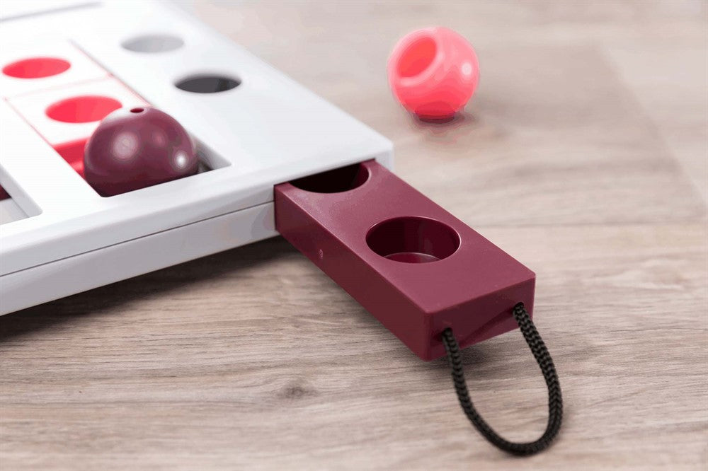 Cat Activity BrainMover 25x20 cm